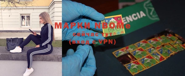 индика Алексин