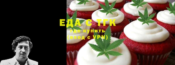 индика Алексин