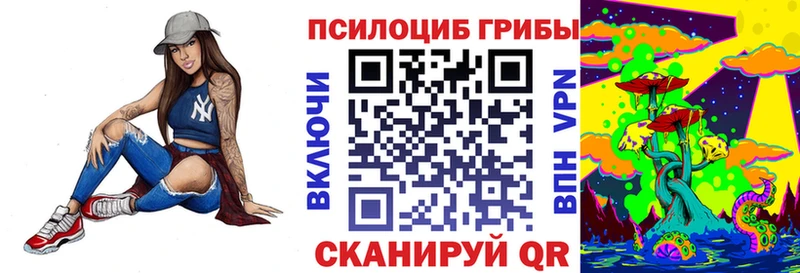 hydra онион  Новошахтинск  Псилоцибиновые грибы MAGIC MUSHROOMS  купить наркотики цена 